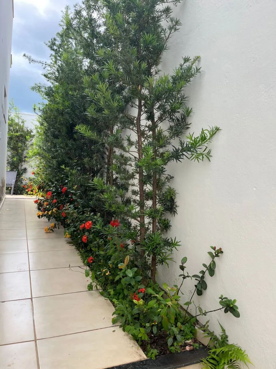 Vendo Imóvel Alto Padrão  - Foto 5