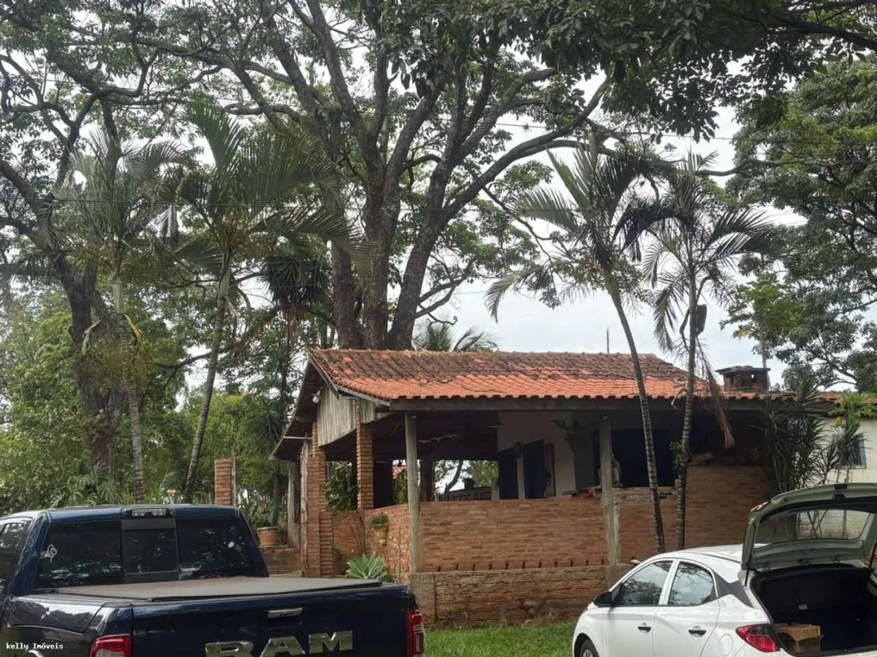 Chácara para Venda em Martinópolis / SP no bairro Rural - Foto 7