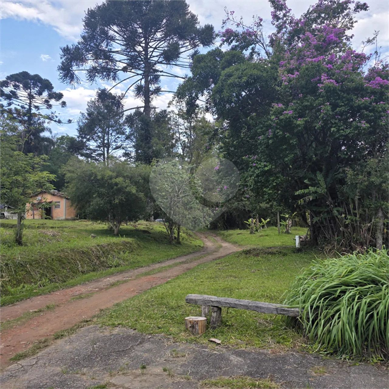 Sítio à venda em Centro - SP - Foto 2