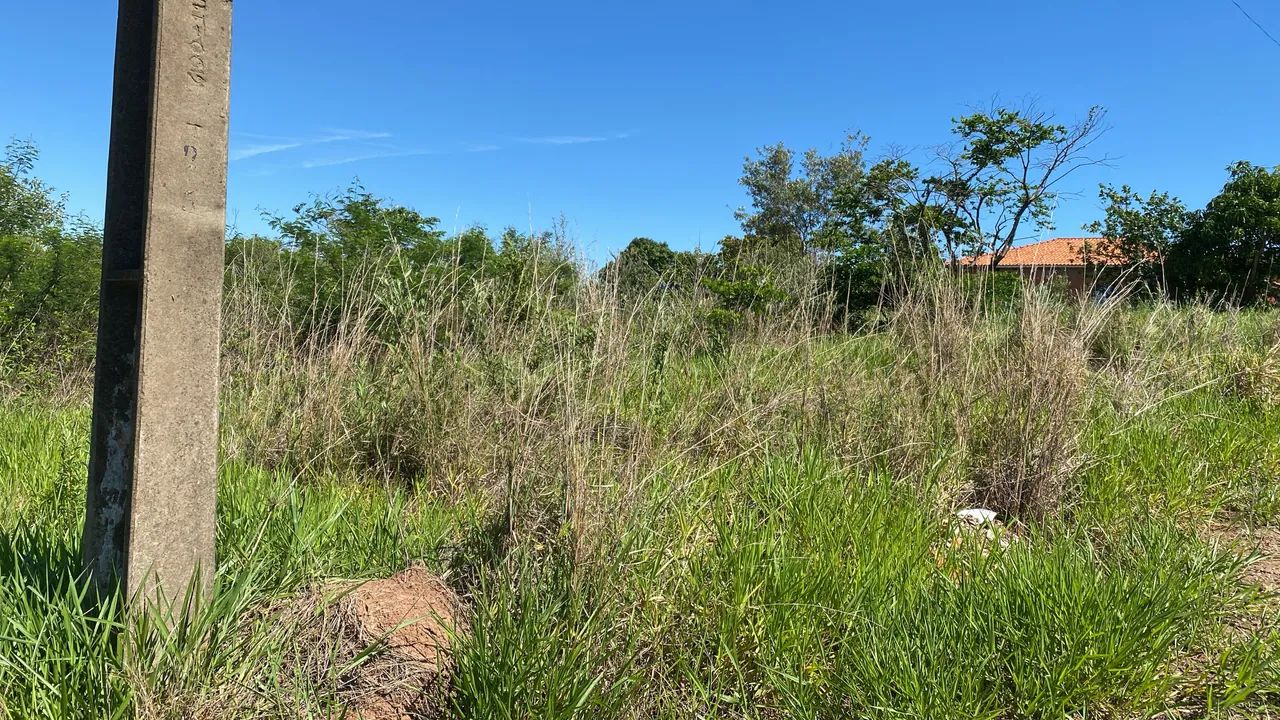 Foto - São Paulo - Jardim Brasil (Zona Norte)