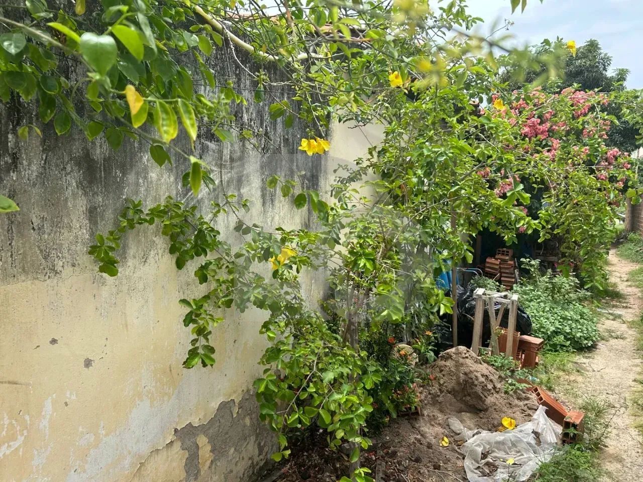 Terreno com 1.940m² Próximo à UNIT à Venda na Farolândia - Foto 4