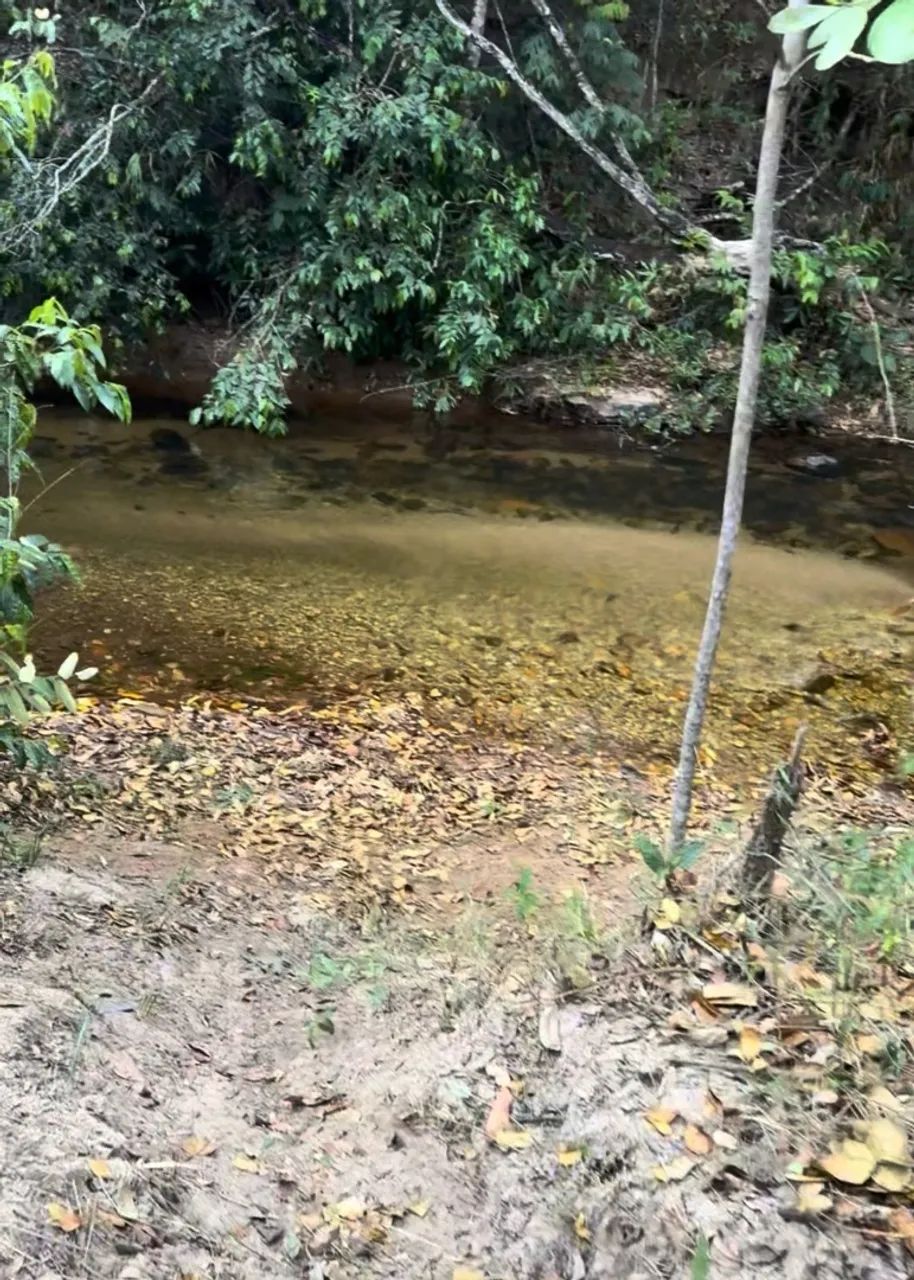 Chácara com Rio Ribeirão e cachoeira  - Foto 4