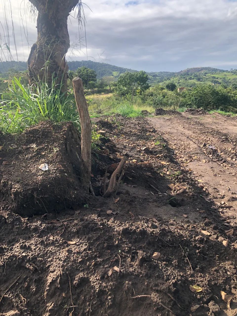 Terreno de área verde para lazer - Foto 4