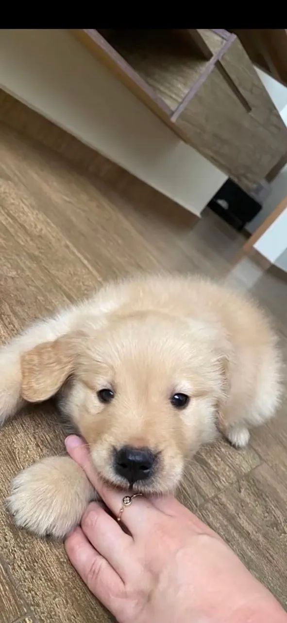 Doação 