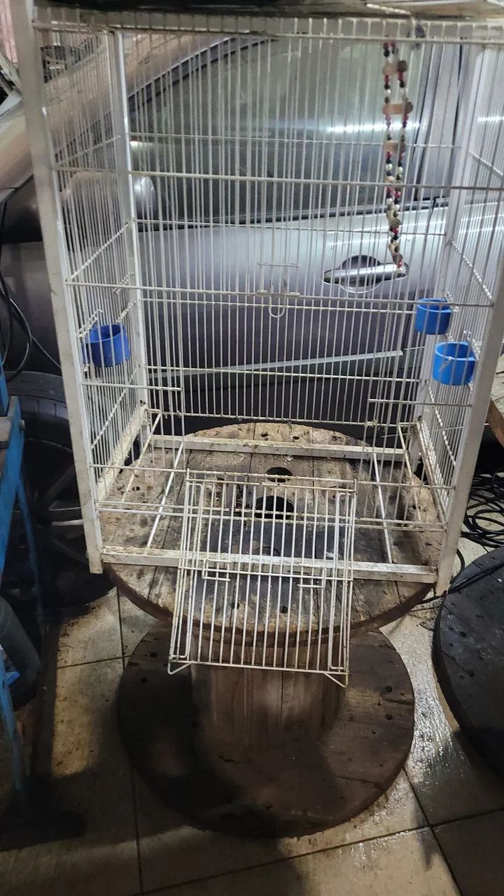 Gaiolas para pássaros 