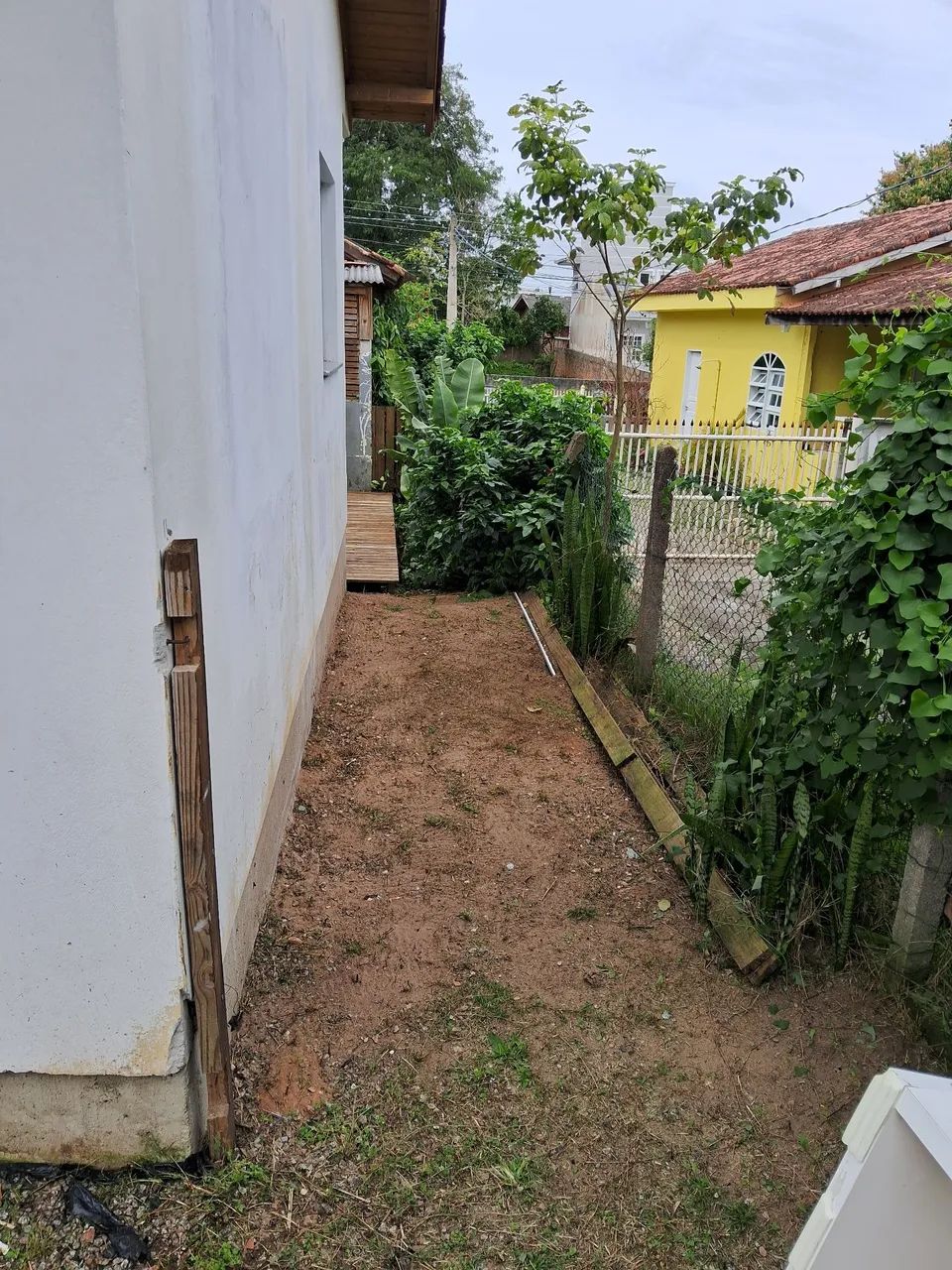 Trabalho com Jardinagem e Poda de Árvores  - Foto 5