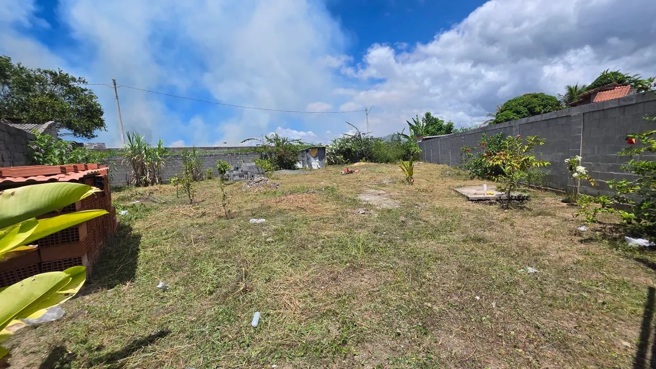 Jardinagem / paisagismo - Foto 2