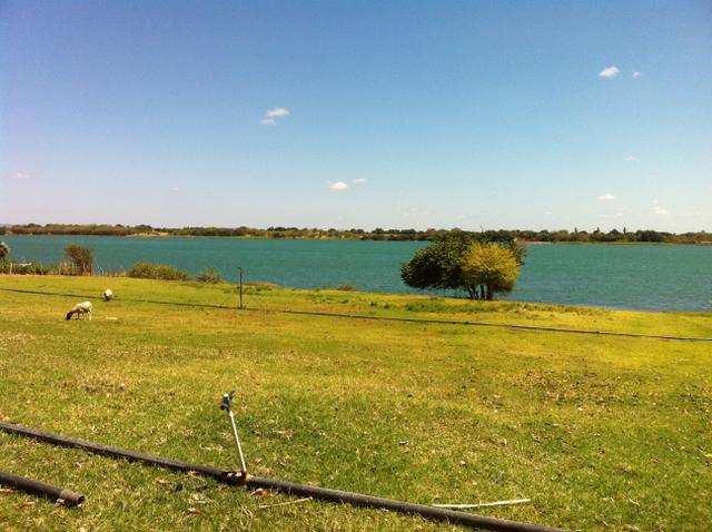 Fazenda Irrigada na Beira do Rio São Francisco - Foto 7