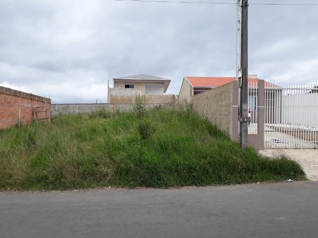 Terreno Colombo- Bairro Sta. Tereza- a vista R$125.000,00- - Foto 12