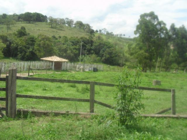 Fazenda com 22 hectares em Rio Manso - Foto 15