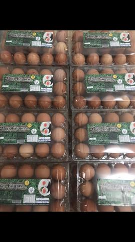30 Ovos de galinha caipira ovo - Foto 3