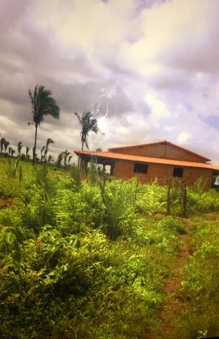 Vende-se Fazenda (abaixo o preço p vender logo) - Foto 5