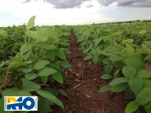 Fazenda Venda no Oeste Baiano Barreiras BA e outras Regiões Soja - Foto 5
