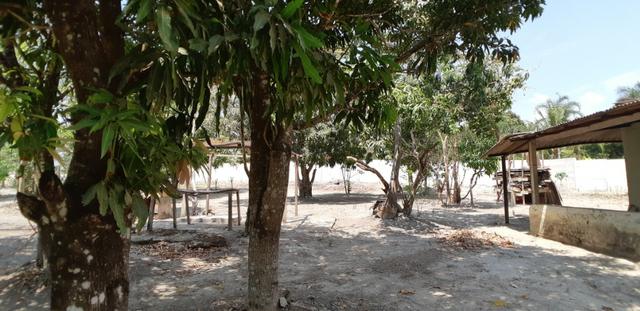 Chácara Quintas Bocaina Águas Lindas de Goias - Foto 12