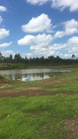 Fazenda - Foto 2