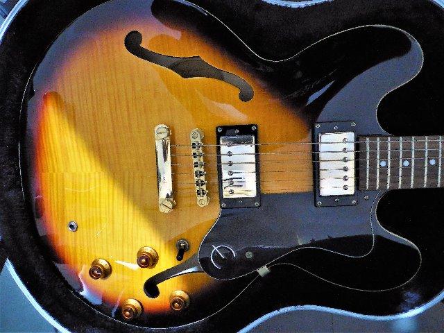 EpiPhone Dot Deluxe Custom Shop Limited Edition/ Com Case Skb