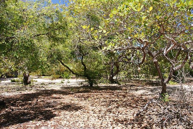 Vendo Área na Lagoa do Urubu - Nísia Floresta - RN - Foto 15