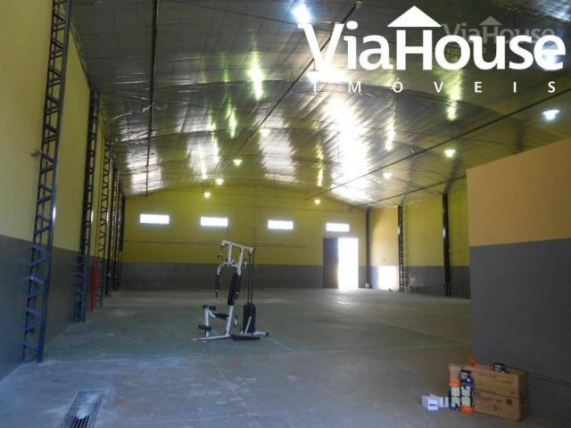 Galpão à venda, 800 m² por R$ 1.500.000 - Vila Elisa - Ribeirão Preto/SP - Foto 3