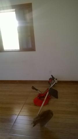 Oportunidade Granja para venda no bairro Filgueiras - Fazendinha do comendador - Foto 6