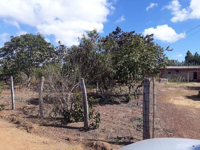 Chácara próximo a Base Aerea - Foto 4