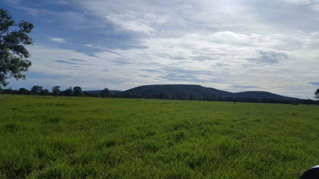 Fazenda Santo Antonio Leverger 870 Hectares - Foto 14