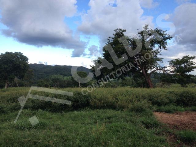 Fazenda de 10 alqueires para pecuária na região de Caldas Novas GO - Foto 3