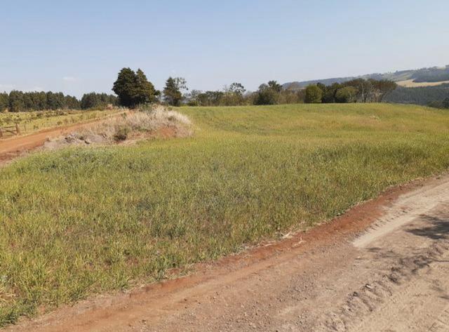 Sítio 6 alqueires em Santa Maria a 30km de Cascavel. - Foto 2