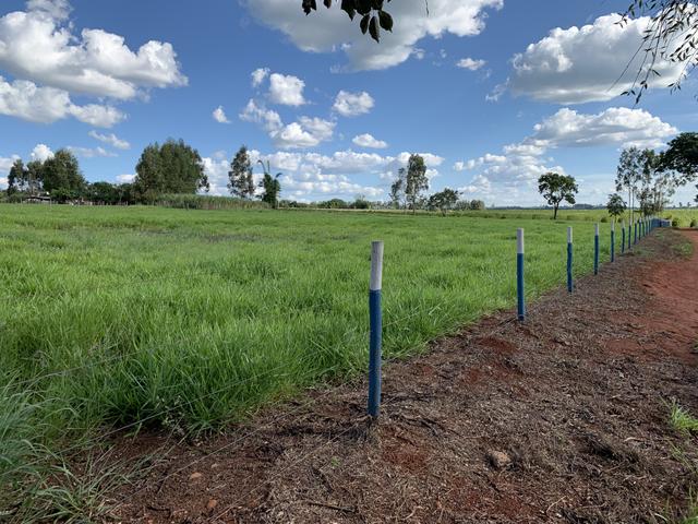 Lindo Sítio a venda - Uberlândia - Foto 6