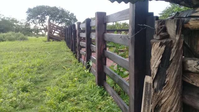 FAzenda de 234 alqueires na região de goianorte - Foto 11