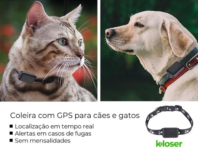 Coleira com Rastreador Gps Para Pets, Coleira E Suporte, Pronta Entrega
