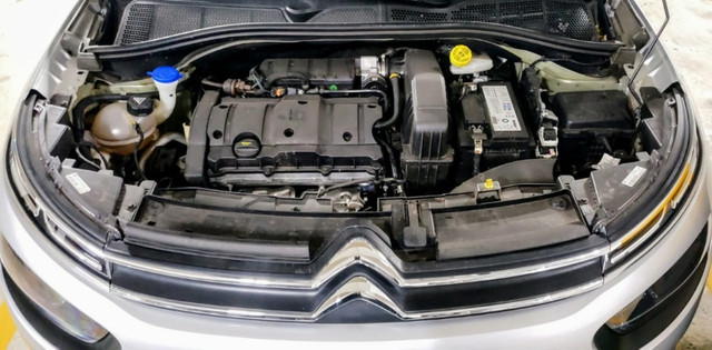 C4 Cactus 1.6 Novo Feel Business Aut 19/20 - Foto 6
