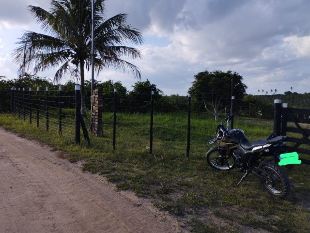 Vende se Sitio de 03 Tarefas em Sapeaçu  Bahia 