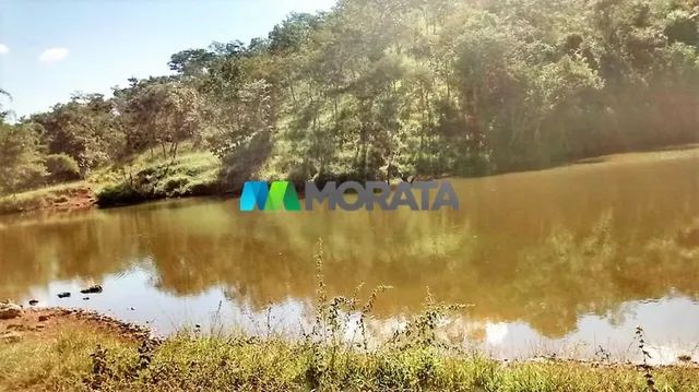 FAZENDA À VENDA - 187 HECTARES - ONÇA DO PITANGUI (MG) - Foto 2