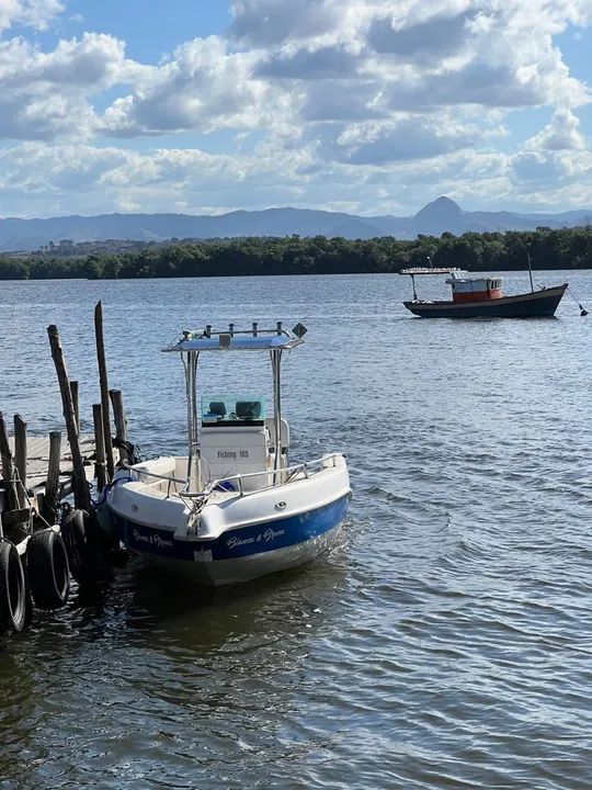 Lancha fishing sea crest 185 mercury optimax 90hp 2011 - Foto 3