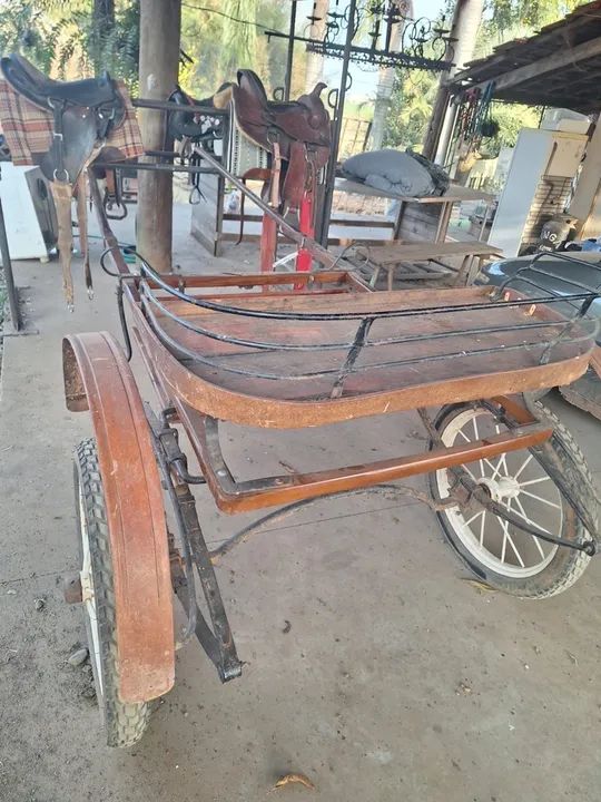 Potro puro e charrete  - Foto 5