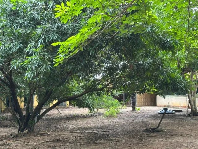 Terreno com 4.311,04 m² - Nova Esperança - Foto 3