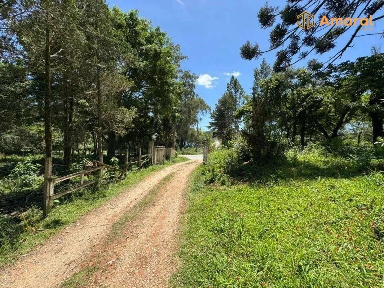 OPORTUNIDADE-100% PLANA - ASFALTADA - Foto 10