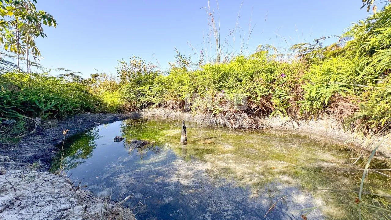 Chácara a venda NR Euller Paranhos - terra nua - 28000 m² - com nascente - Escriturada e R