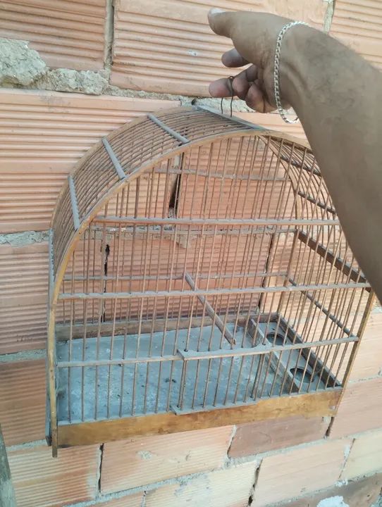 Lote gaiola barato  - Foto 3