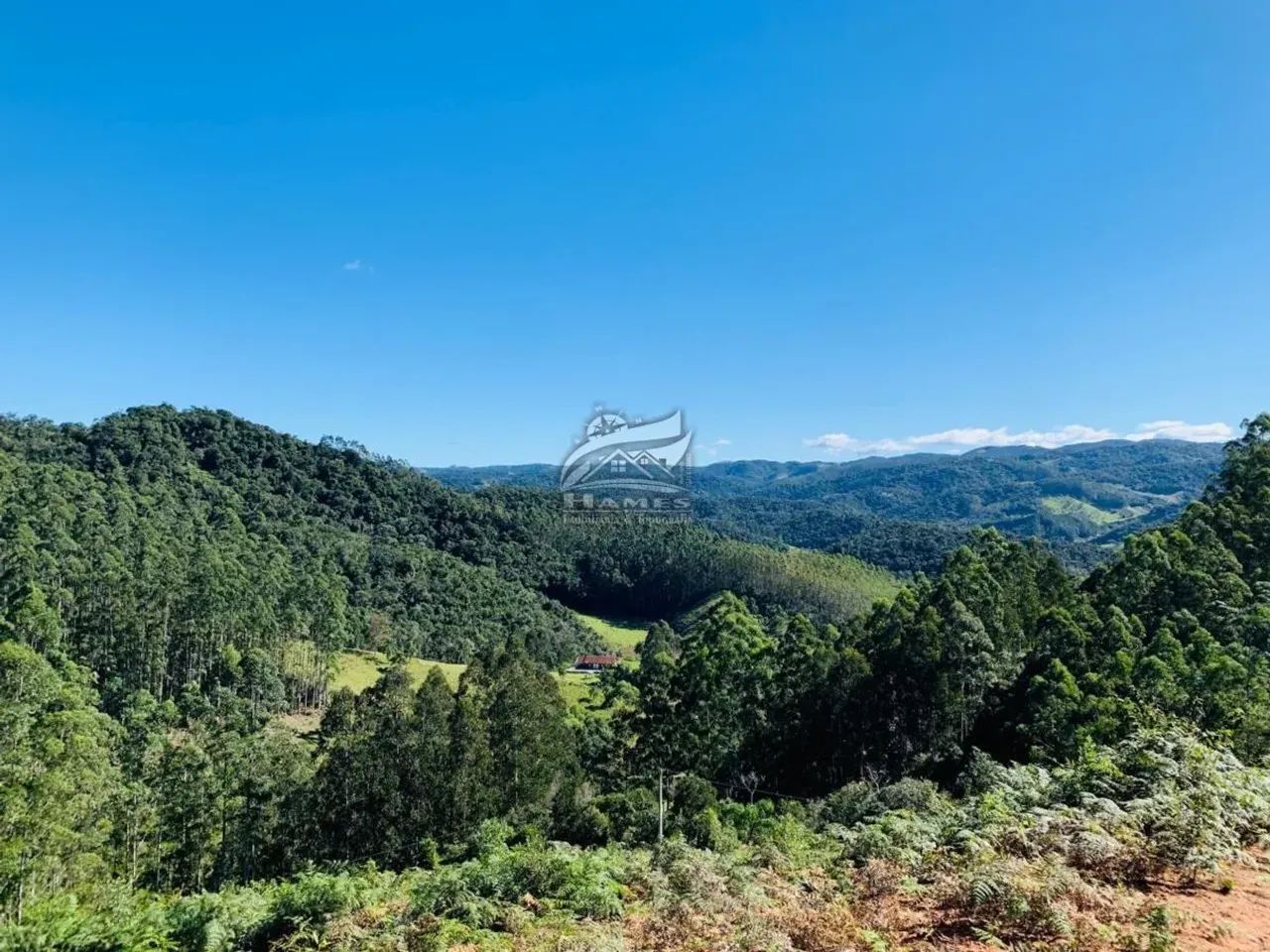 Terreno Rural para Venda em Angelina, ALTO GARCIA. - Foto 4