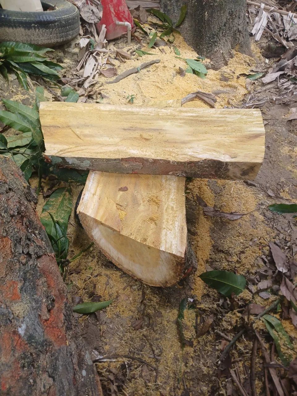 Tronco bruto de 3 metros 
