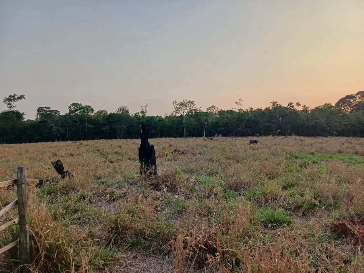 FAZENDINHA PROX A ALATER DO CHÃO NO ASFALTO - Foto 5