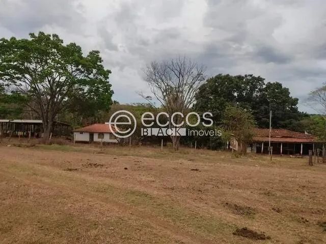 Fazenda à venda, 4 quartos, Miraporanga - Uberlândia/MG - Foto 2