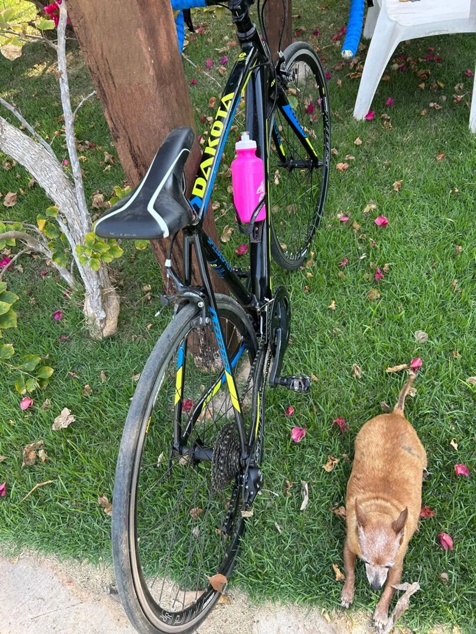 Vendo bicicleta speed  - Foto 3