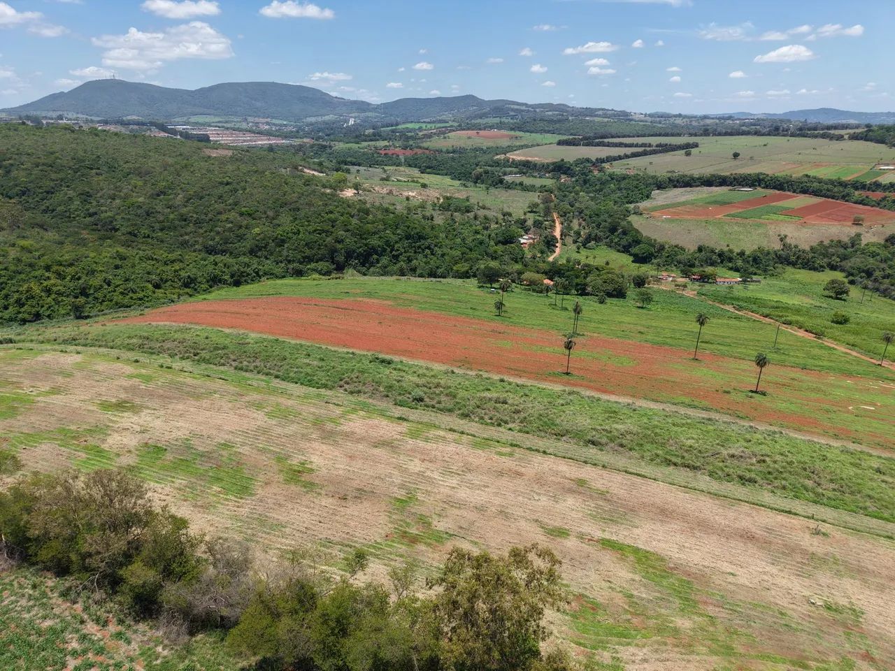 Terreno com cachoeira em florestal  - Foto 5