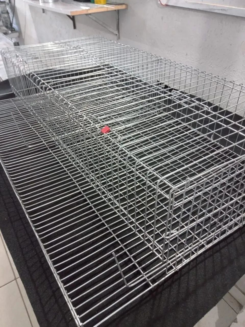 Cage for Quail Project64313864780289120