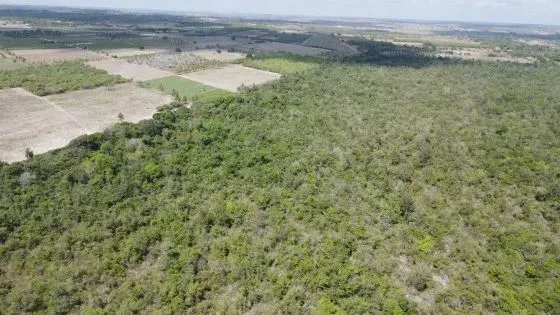 fazenda com 270 hectares próximo a Macaiba