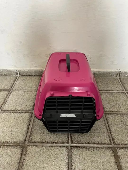 Caixa de Transporte para Gato - Foto 3