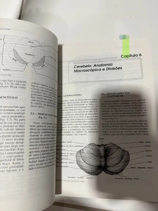 Neuroanatomia Funcional 2ª Edição - Angelo Machado - Foto 4