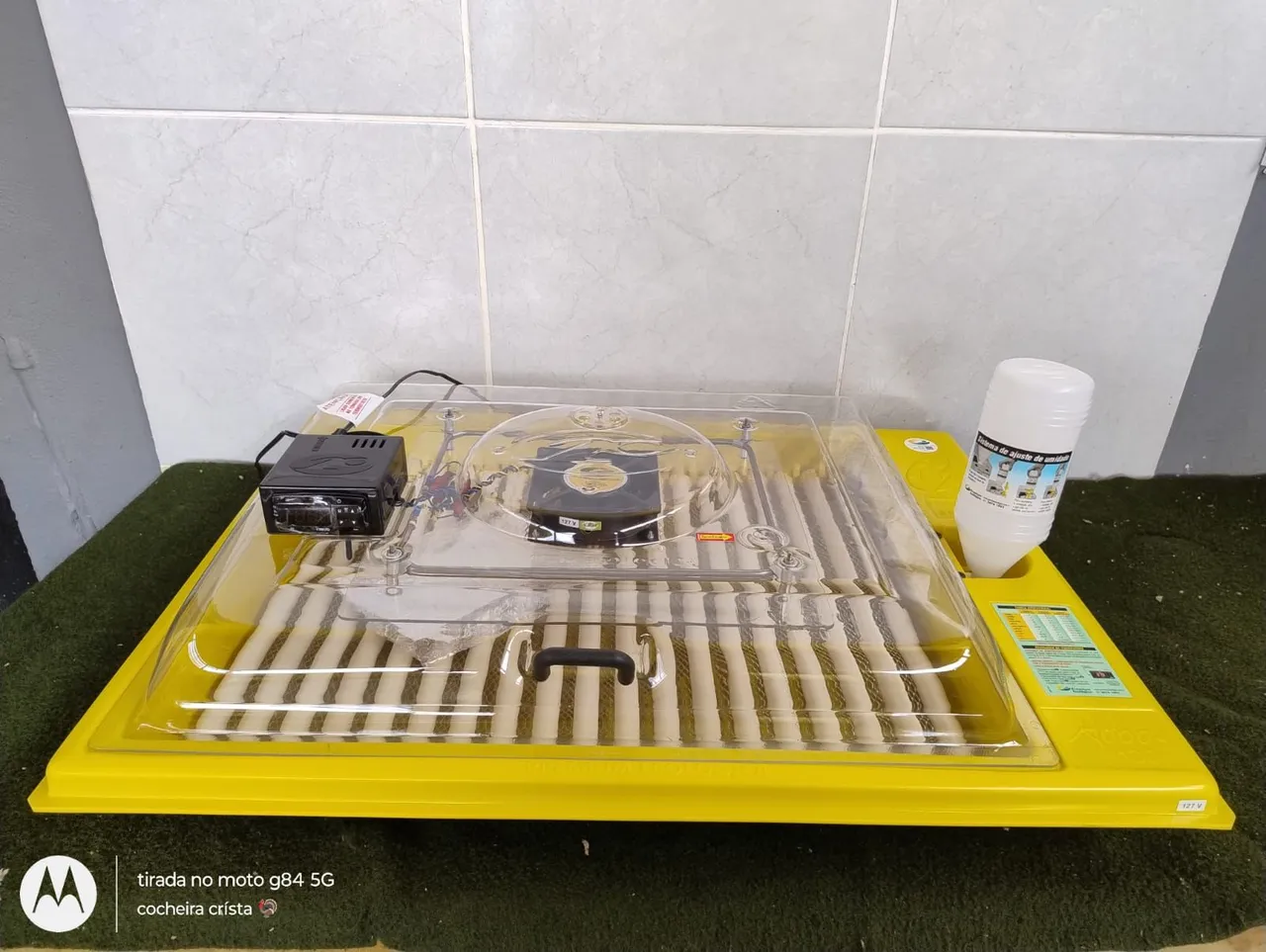 Chocadeira de Ovos Automática